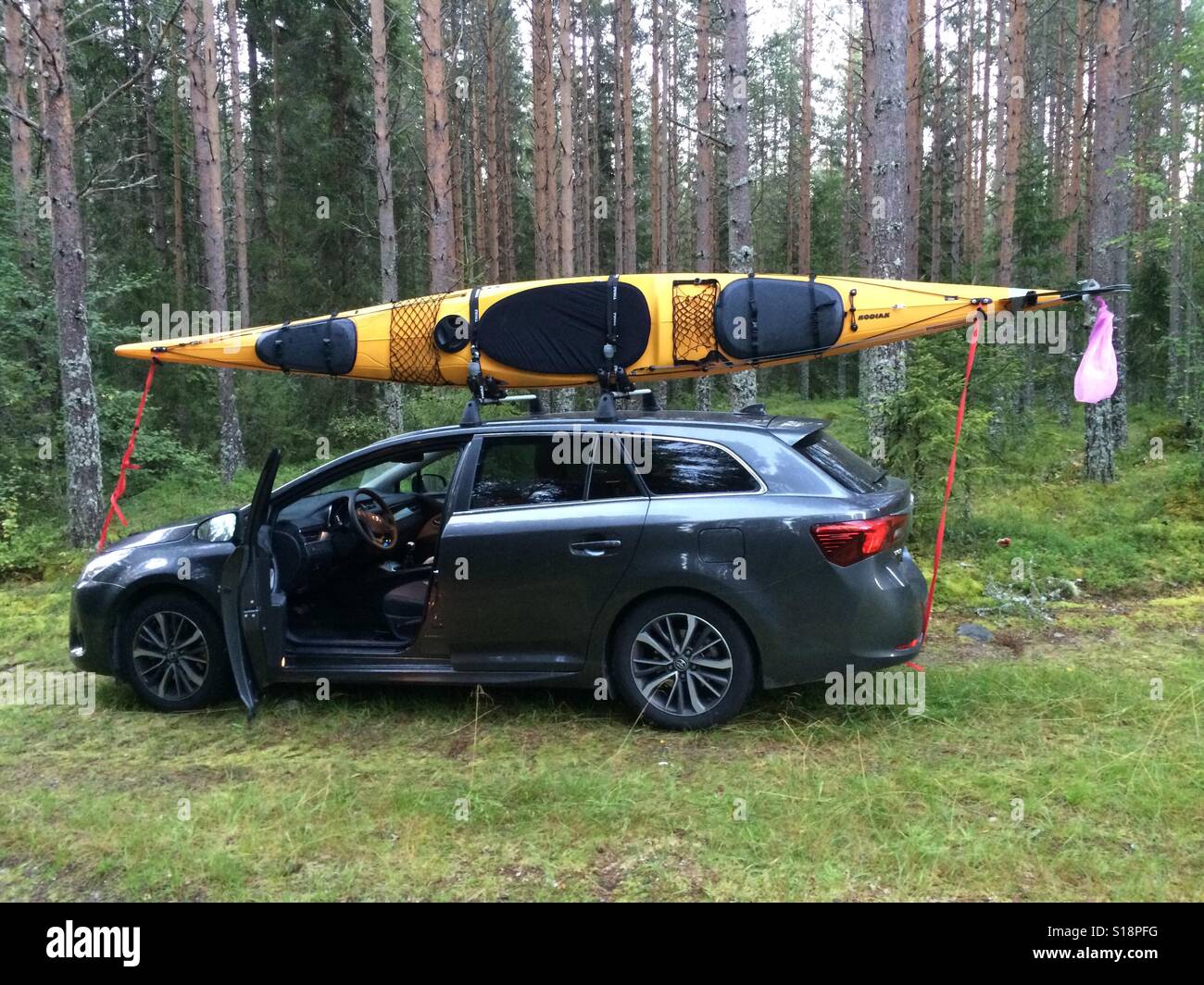 Yellow Prijon Kodiak kayak loaded on top of the roof of a car. The car is  parked in the middle of the forrest Stock Photo - Alamy