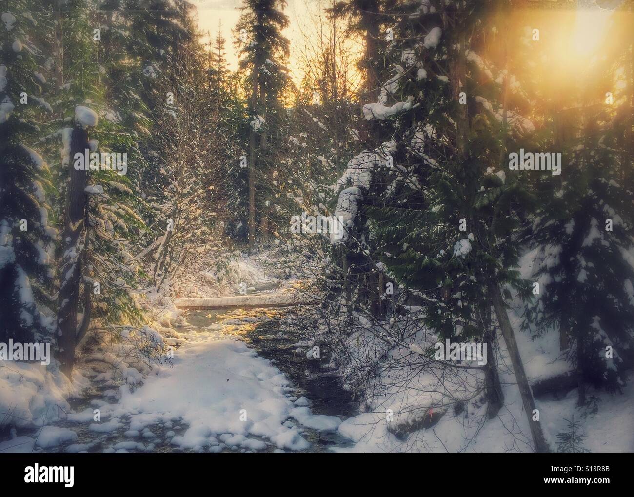 River and snow - Smartphone Captured Stock Image