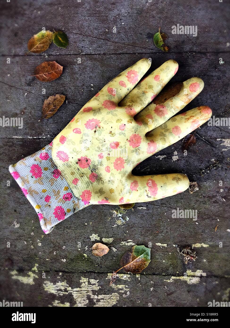 A yellow floral gardening glove left out on rustic wood surrounded by leaves and twigs. Stock Photo