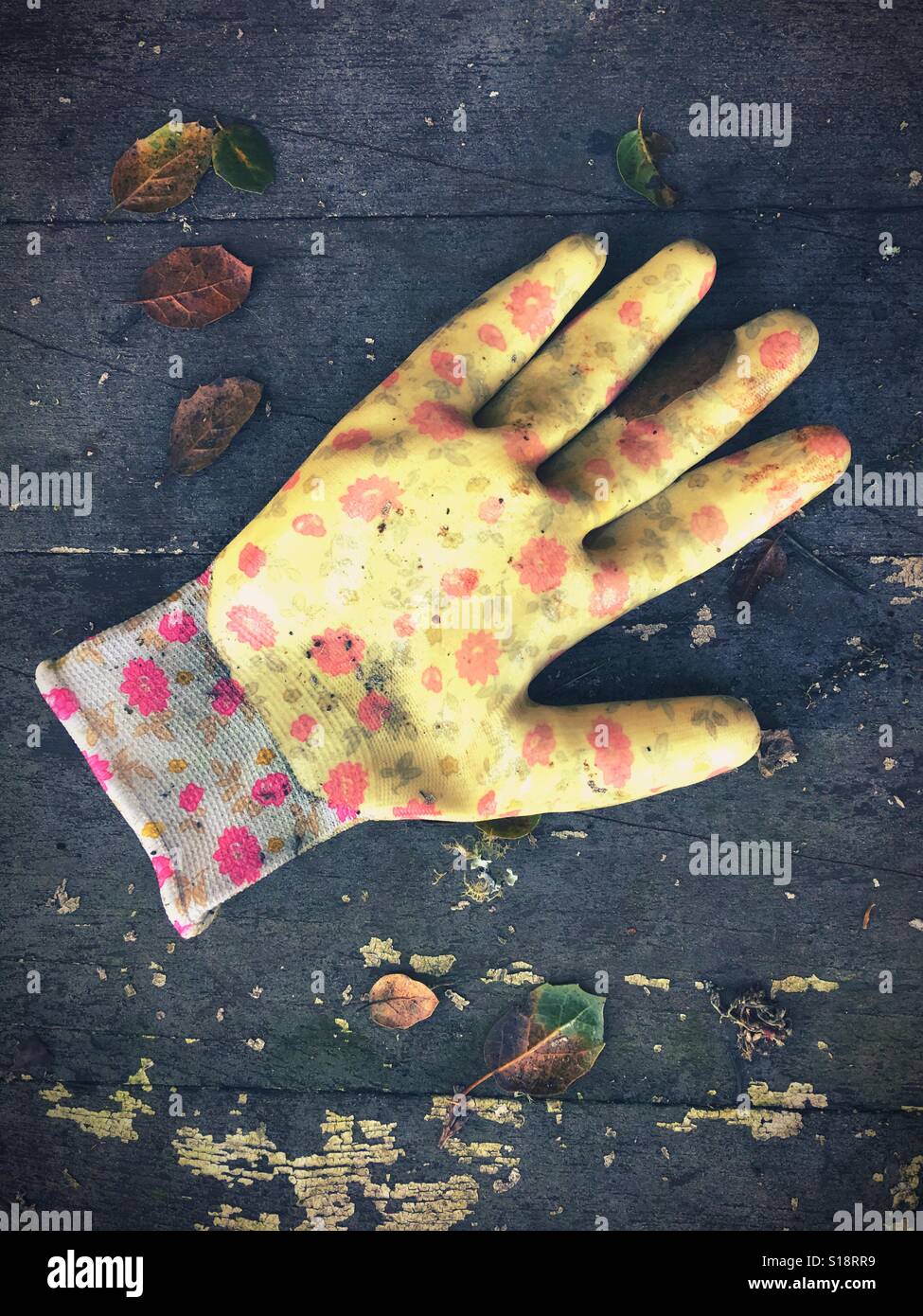 A yellow gardening glove on a distressed wood background with leaves and twigs. Stock Photo