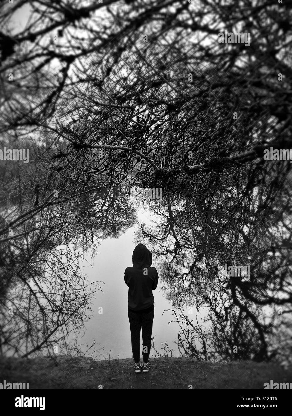 A person wearing a hoodie looking out at water surrounded by trees. Stock Photo