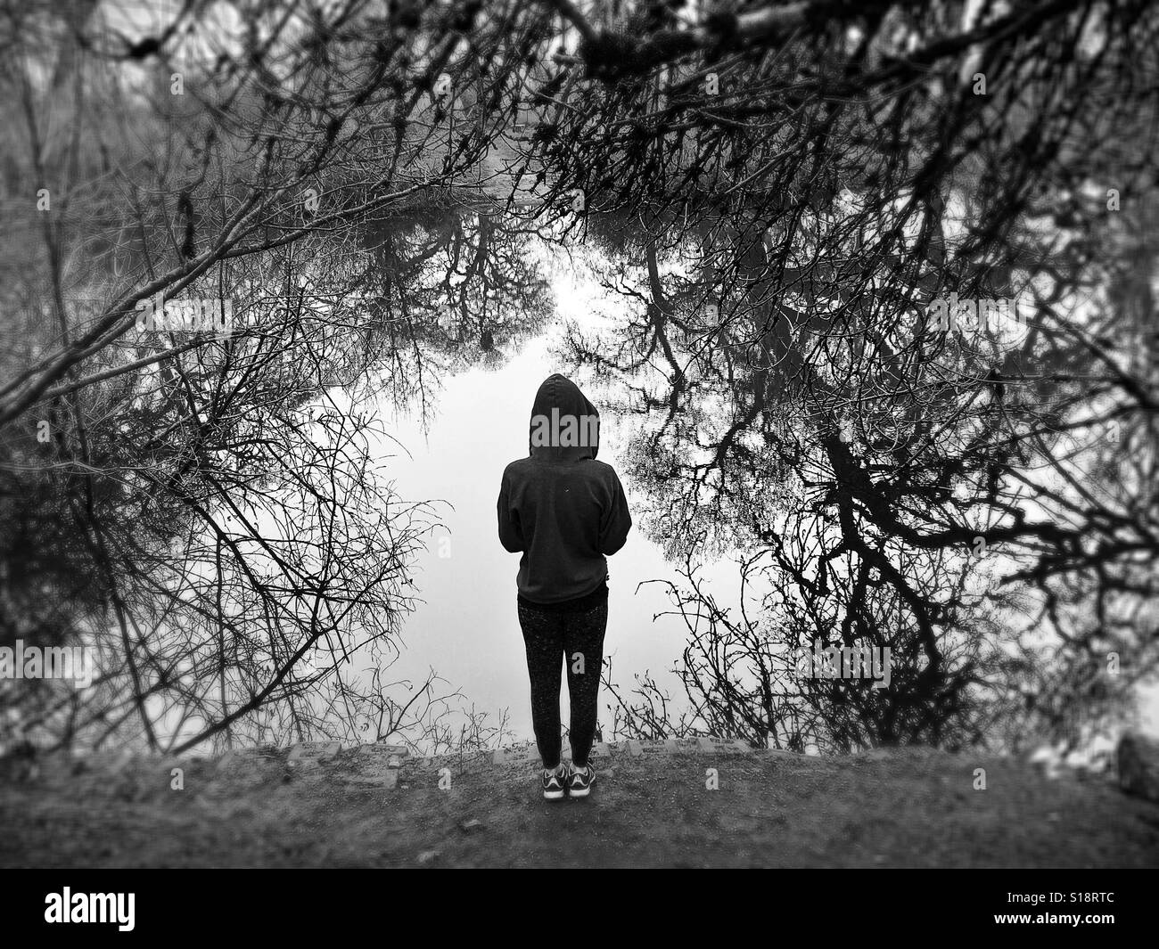 A person in a hoodie as seen from behind, surrounded by branches and looking out at a lake. Stock Photo