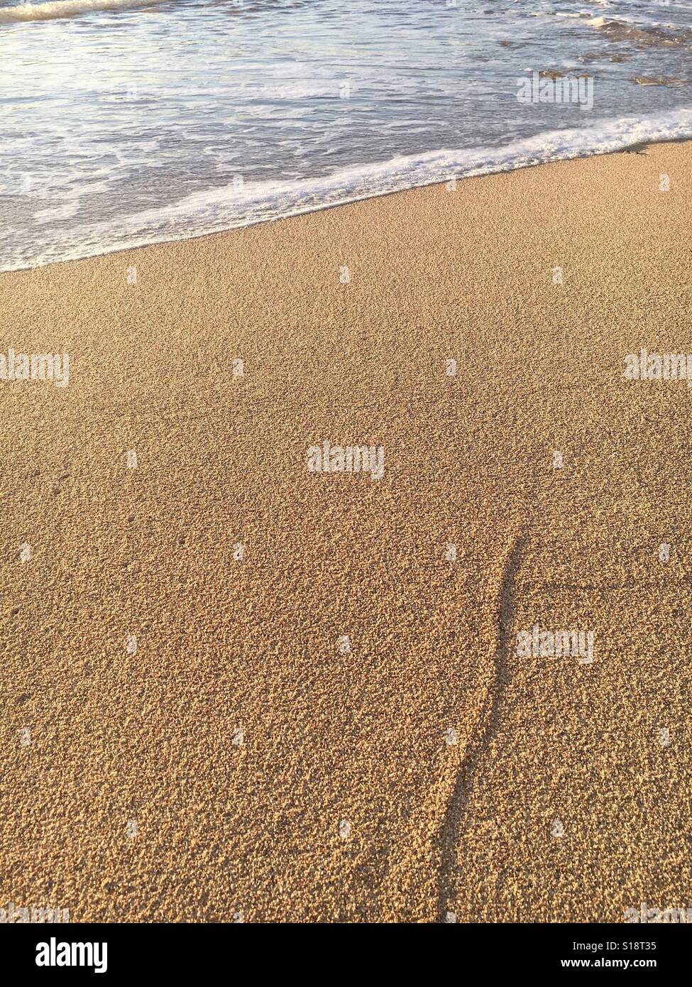 Sand beach background Stock Photo