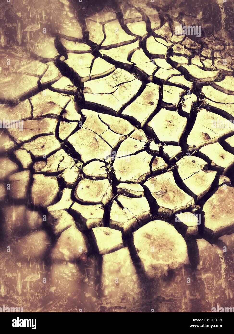 Dry cracks on soil Stock Photo Alamy