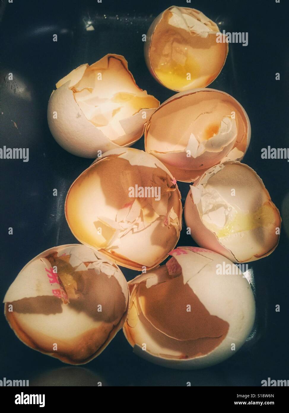 Egg Shells High Resolution Stock Photography and Images Alamy