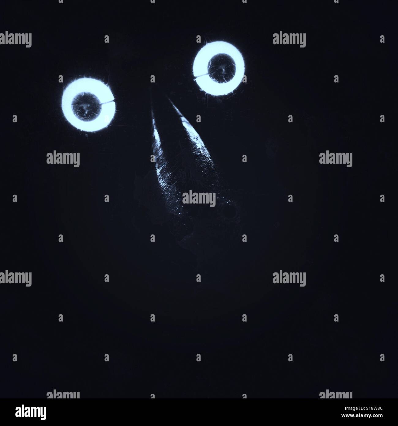 Urban streetlight at night - Smartphone Captured Stock Image