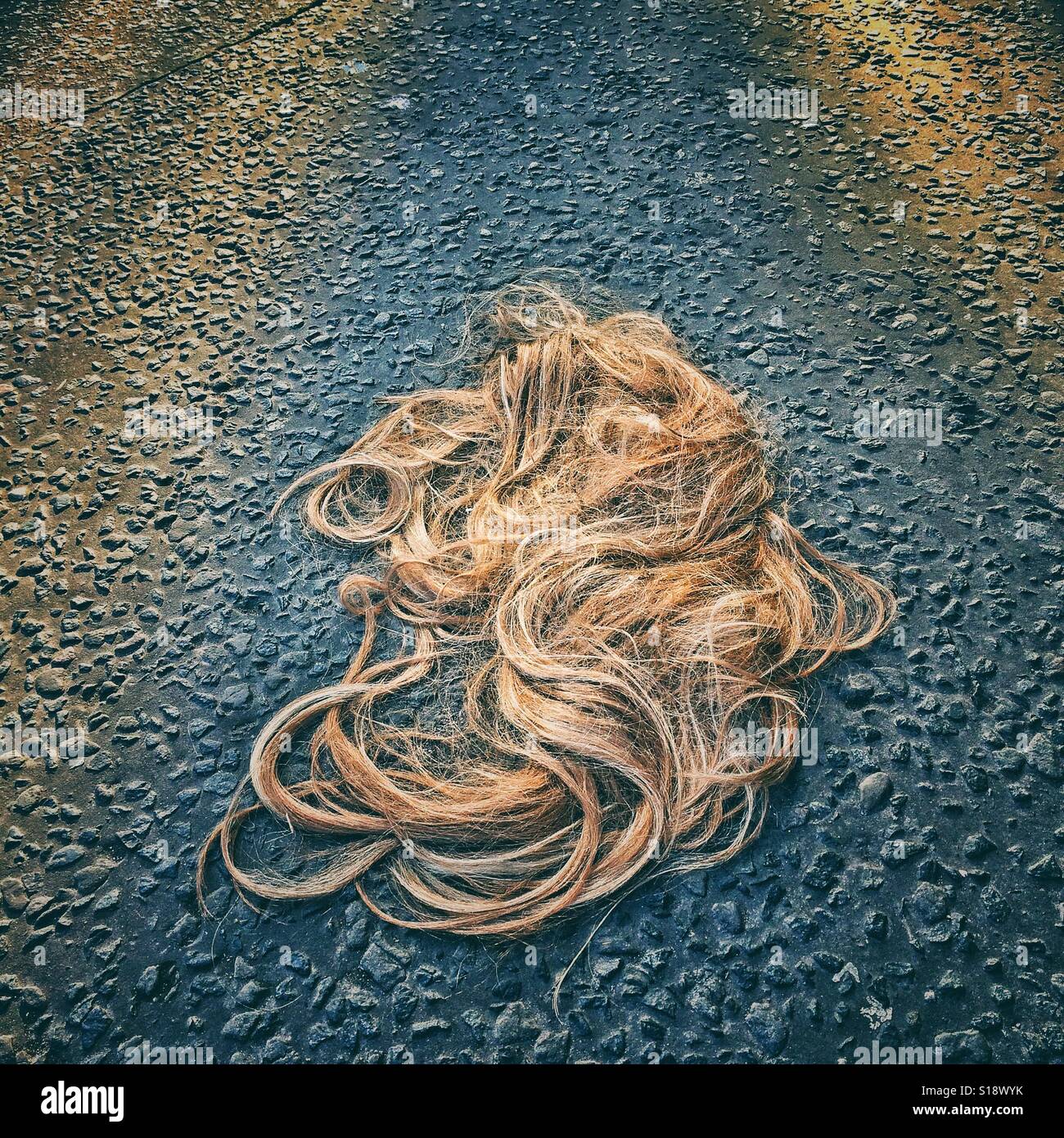 A blonde wig in the road Stock Photo