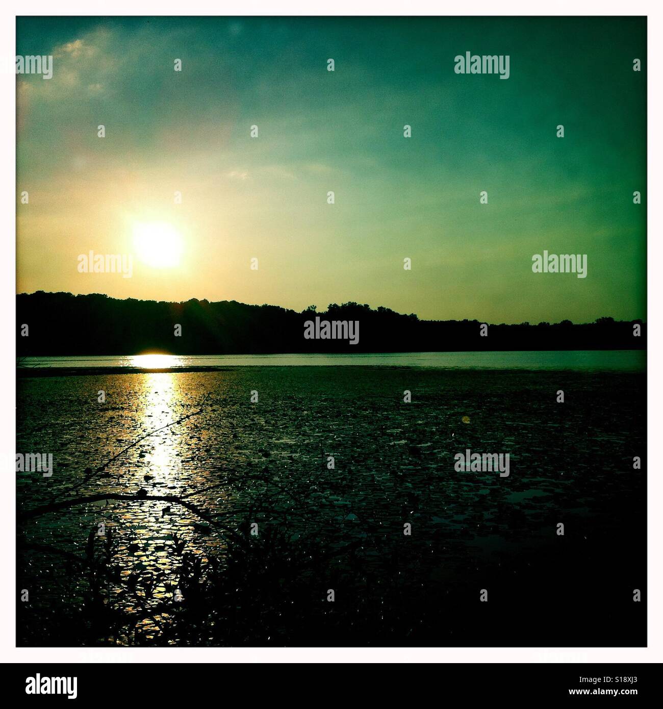 Sunset over the 100 Acre Pond at Mendon Ponds Park, Mendon, NY - Smartphone Captured Stock Image