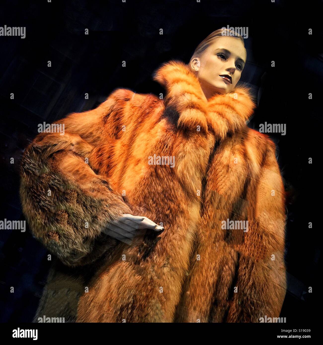 A mannequin wearing a red fur coat against a black background - Smartphone Captured Stock Image