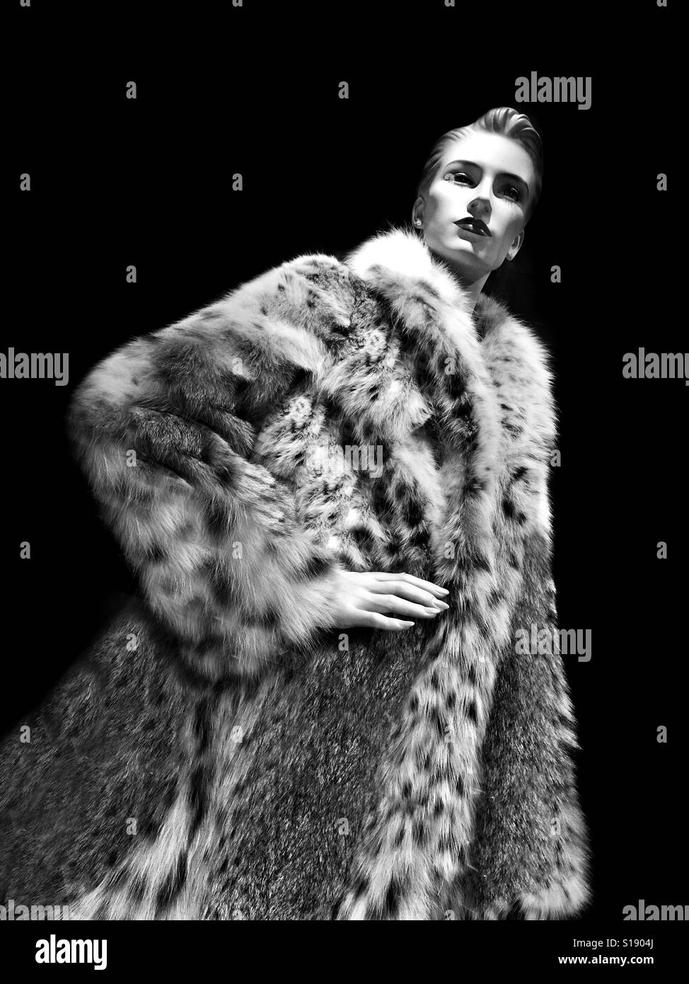 A black and white image of a mannequin wearing an animal print fur coat against a black background - Smartphone Captured Stock Image