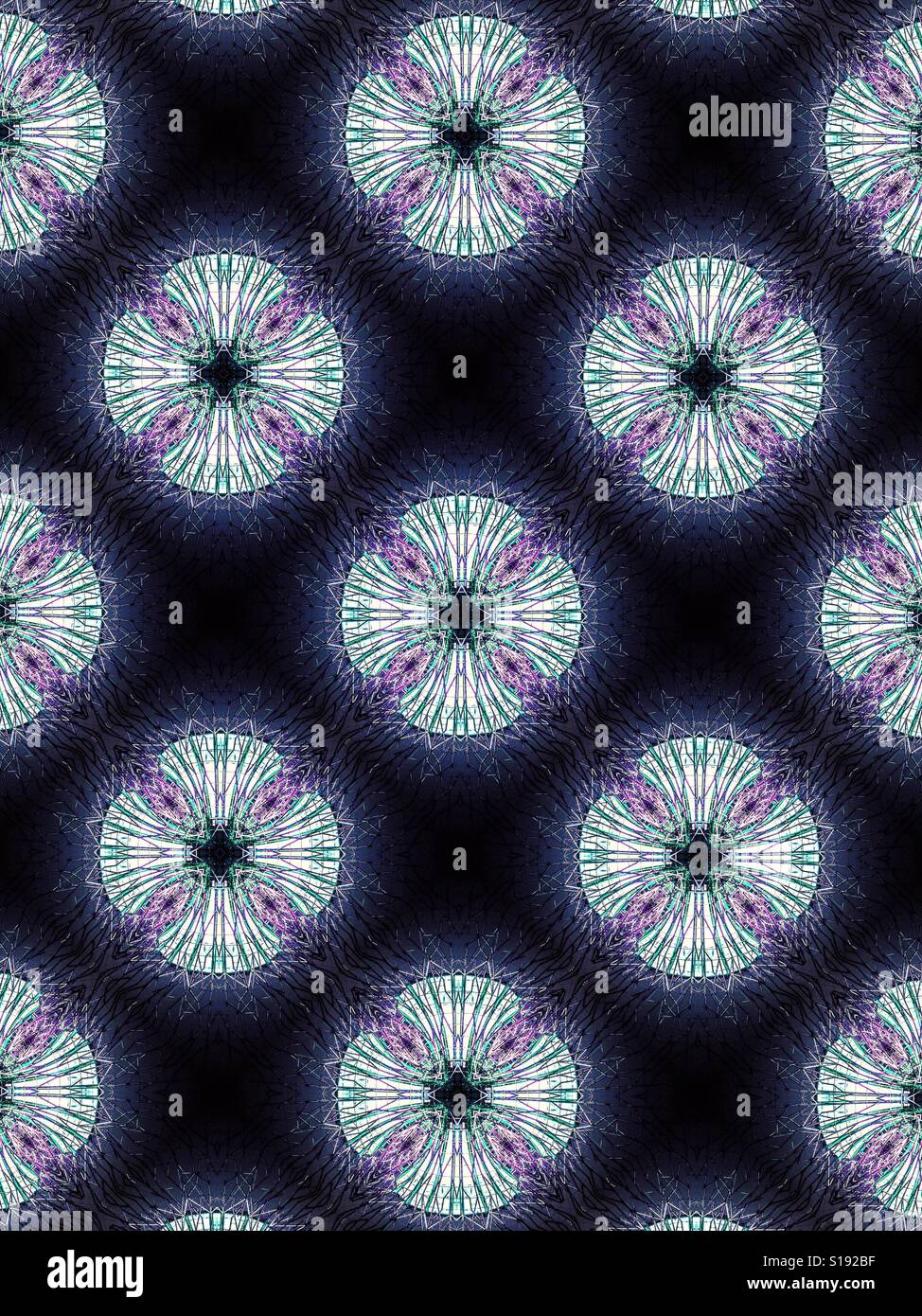 an abstract design featuring white floral starbursts on a purple