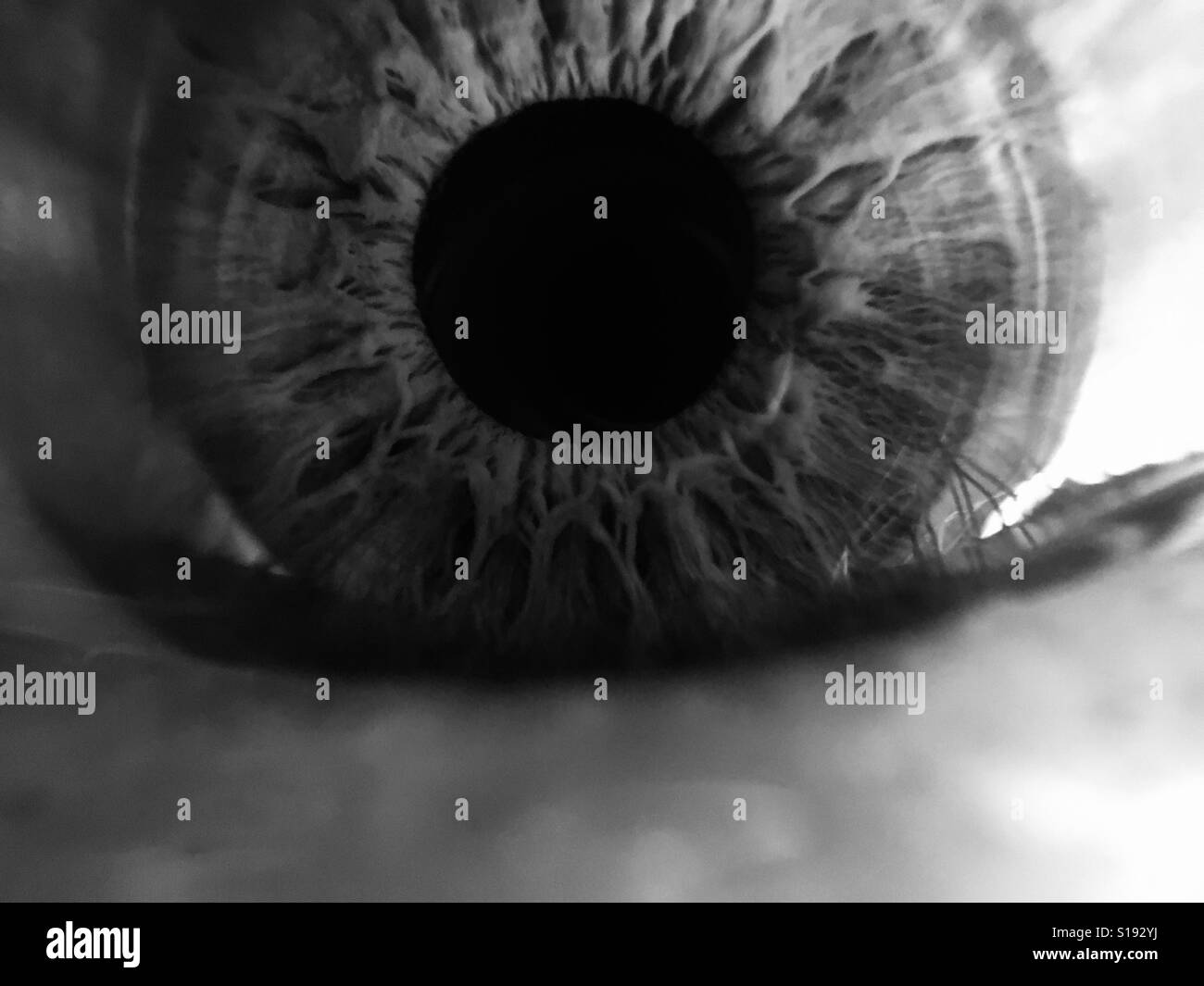 Human eye. macro. B&W - Smartphone Captured Stock Image