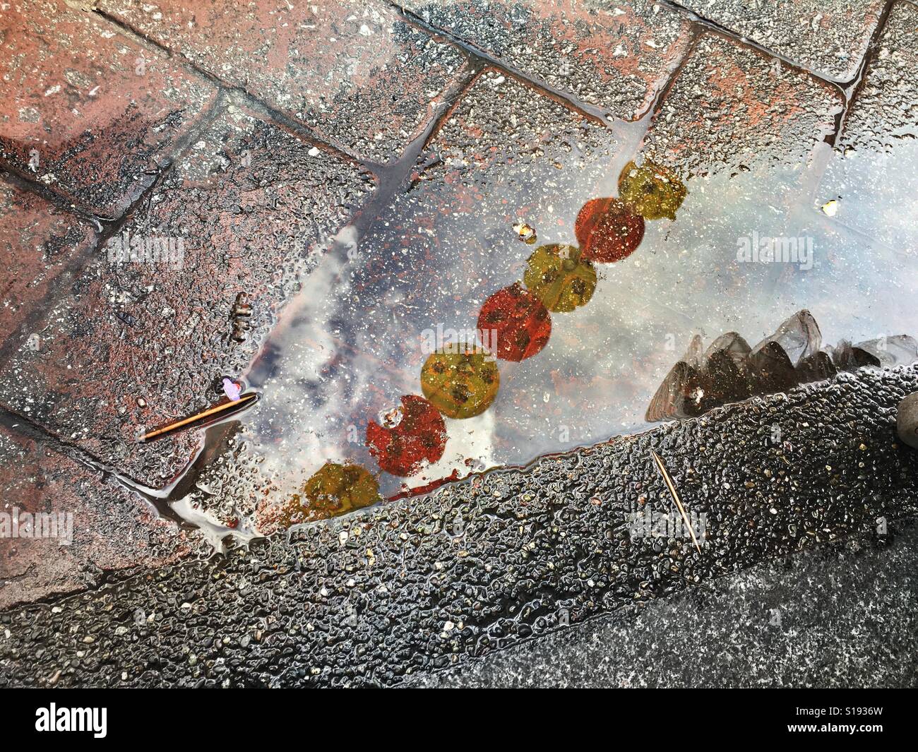 Lanterns reflecting in a puddle Stock Photo