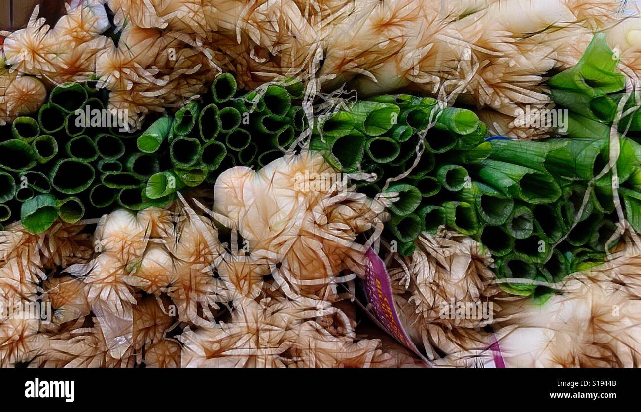 Artistic edit of bunches of spring onions - vegetables at the market ...
