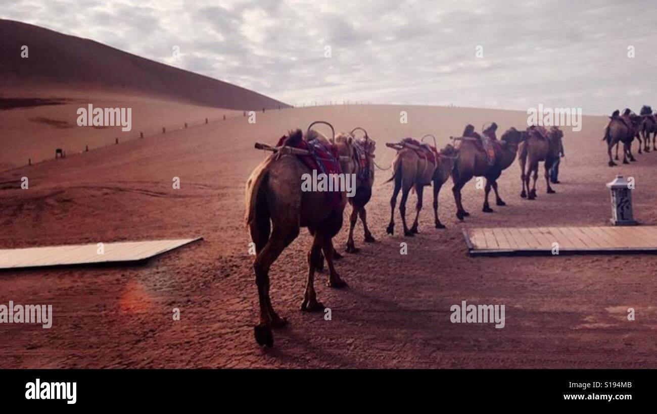 The long journey Stock Photo - Alamy