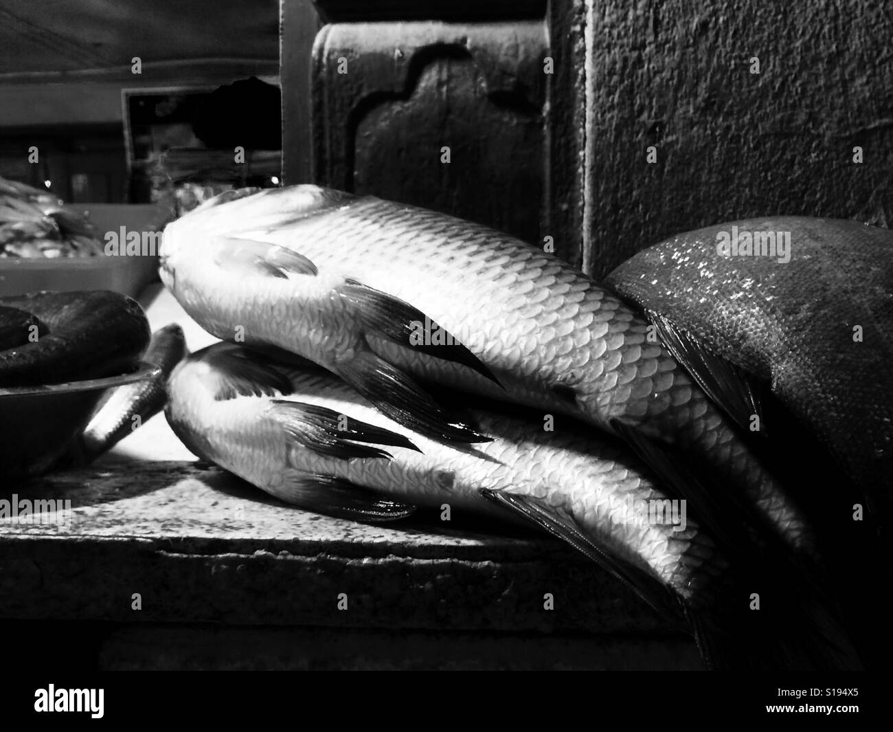 Fish bnw Black and White Stock Photos & Images - Alamy