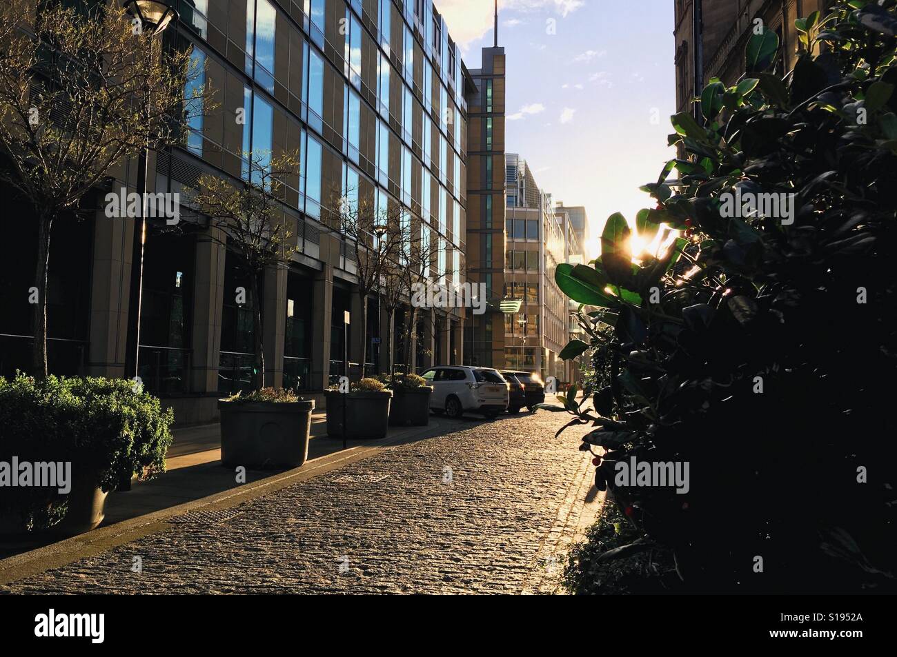 sunset in sheffield Stock Photo Alamy