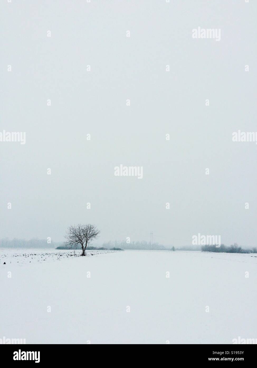 Wintery minimalistic landscape Stock Photo