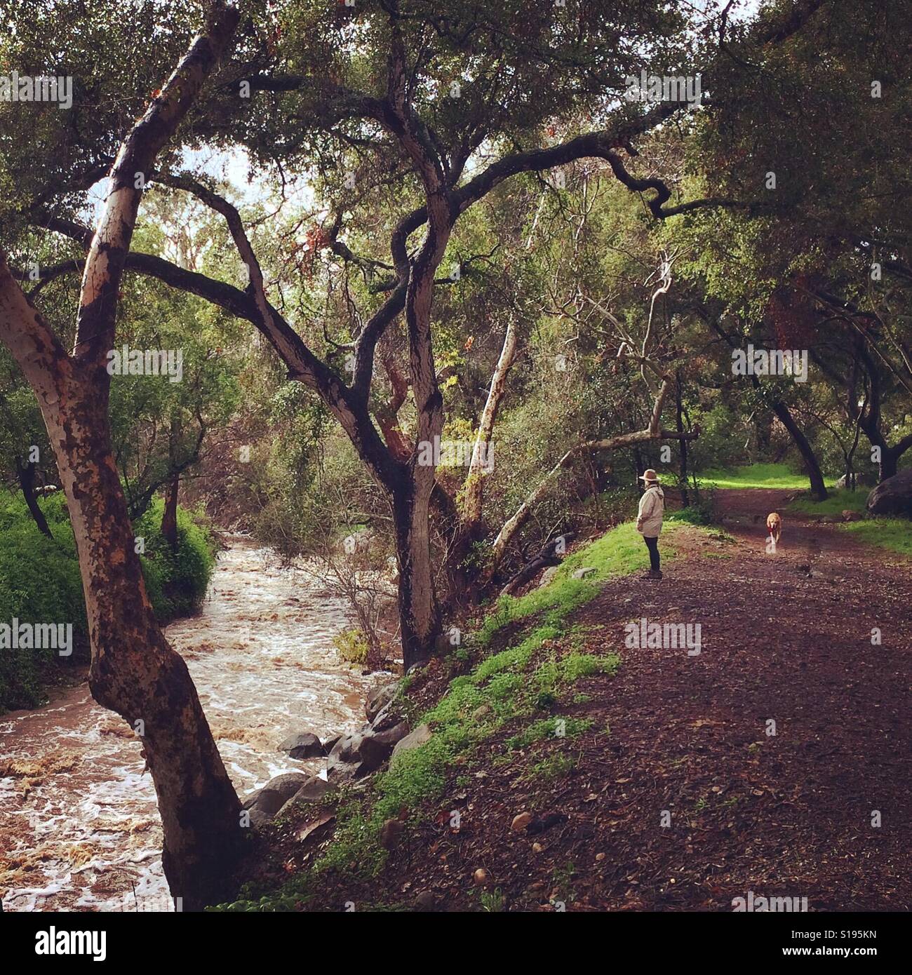 Muddy creek flowing - Smartphone Captured Stock Image