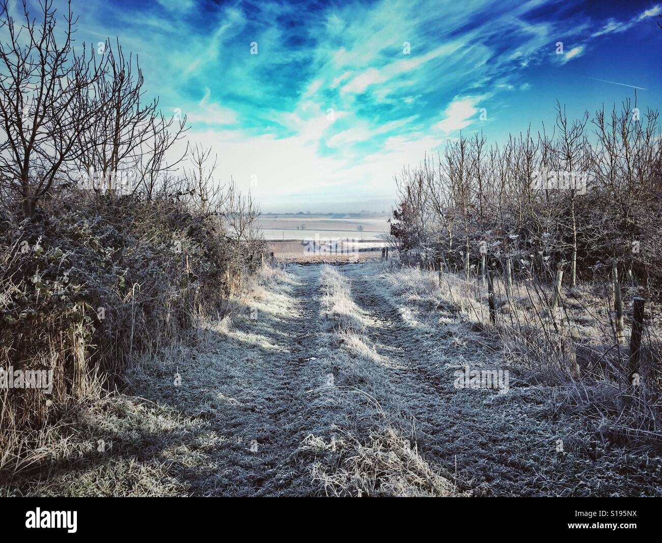 Frosty farm track leading in to a field. Early morning winter weather in rural Dorset. - Smartphone Captured Stock Image