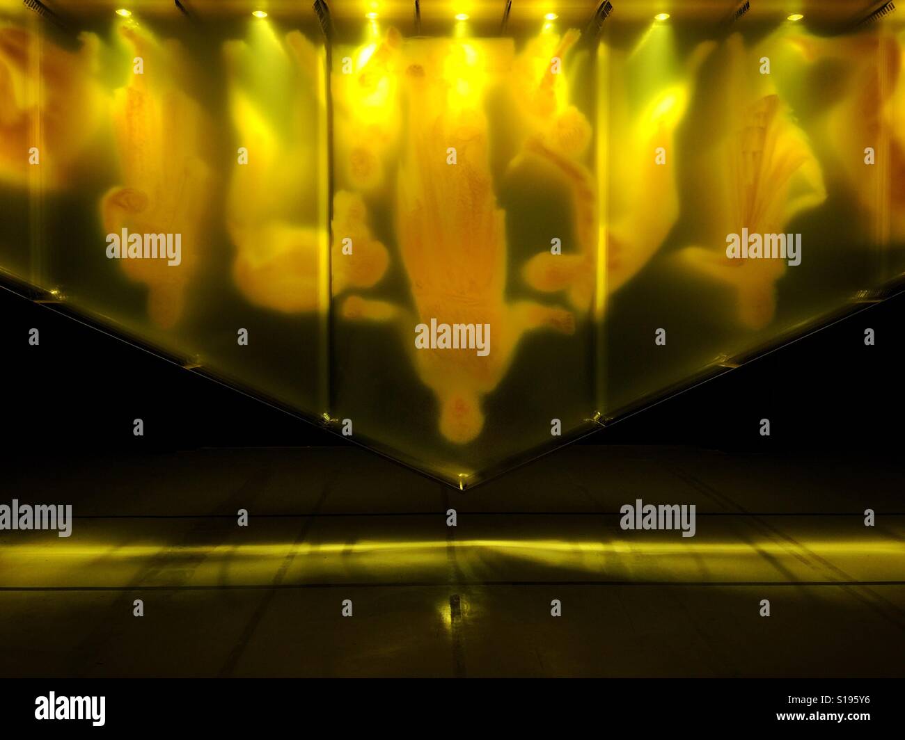 Artwork 'Gold' by David Spriggs from his Stratochromes series which examines the contemporary symbolic meaning of color.  Gold speaks to the contemporary wealth and power held by a select few. - Smartphone Captured Stock Image