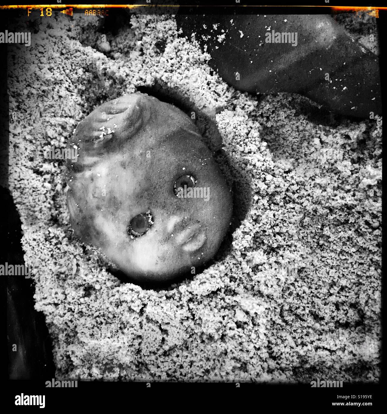 An image of a baby doll's head, weathered and dirty, in sand - Smartphone Captured Stock Image