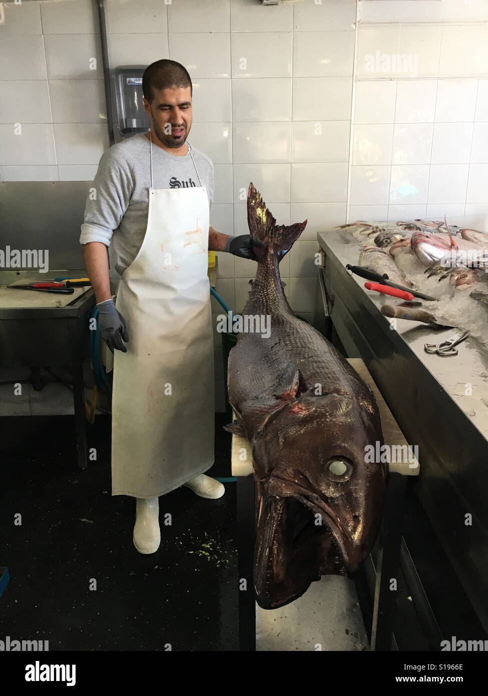 Fishmonger with giant tuna fish Stock Photo