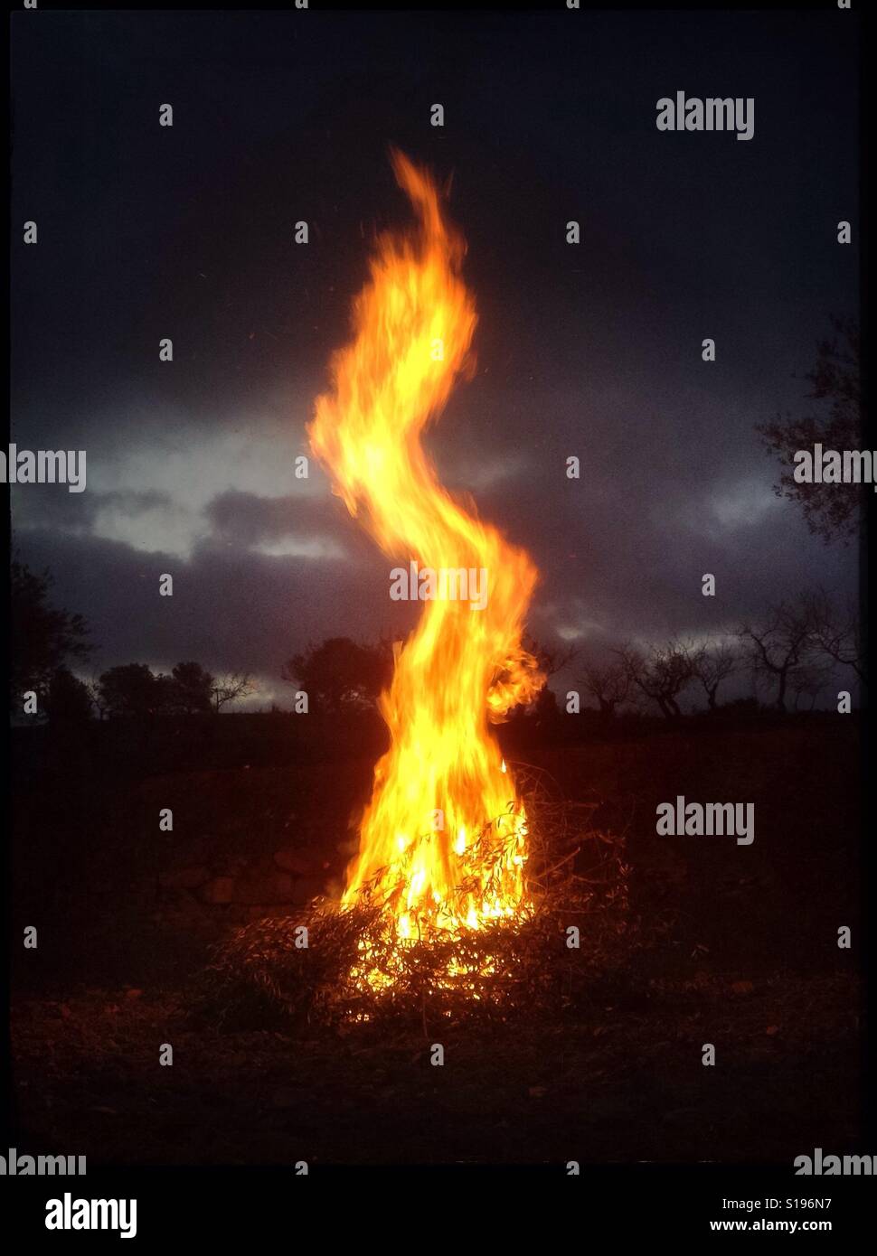 Burning olive branches during the seasonal pruning of olive trees, Catalonia, Spain. - Smartphone Captured Stock Image
