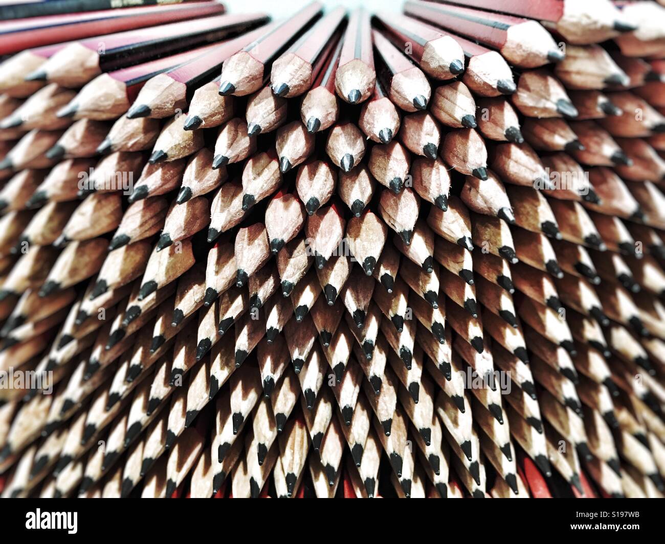 Lead pencils. Stock Photo