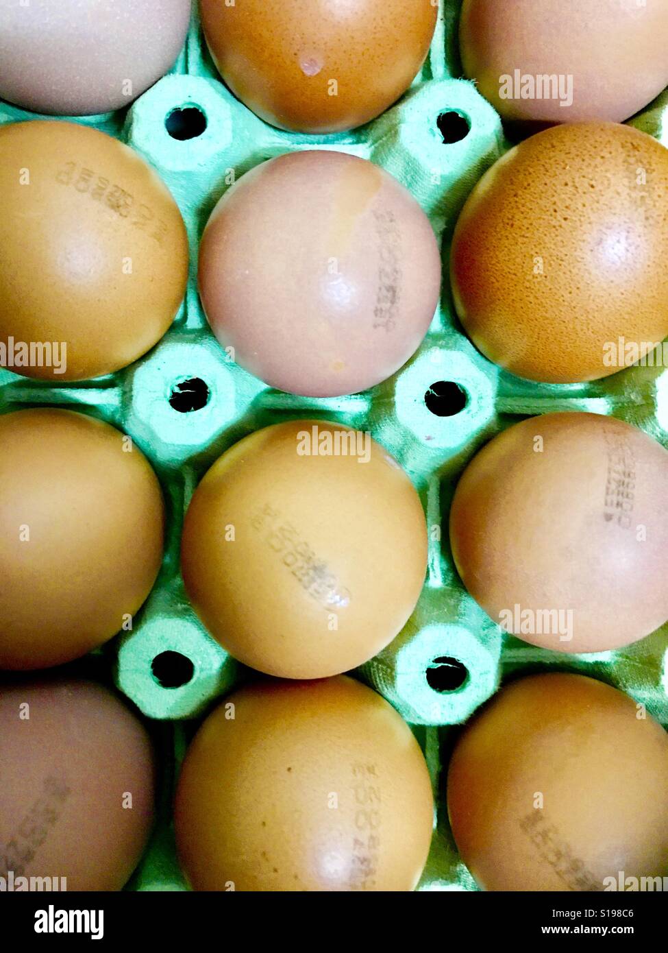 A dozen of eggs Stock Photo Alamy