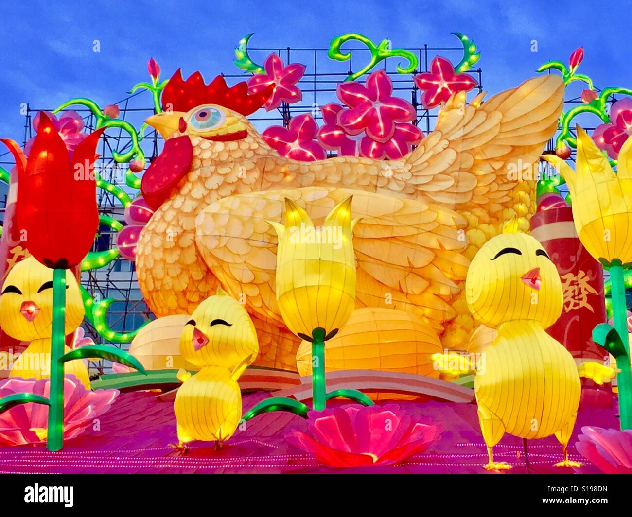 Lanterns of mother hen baby chicks at the river hongbao hires stock