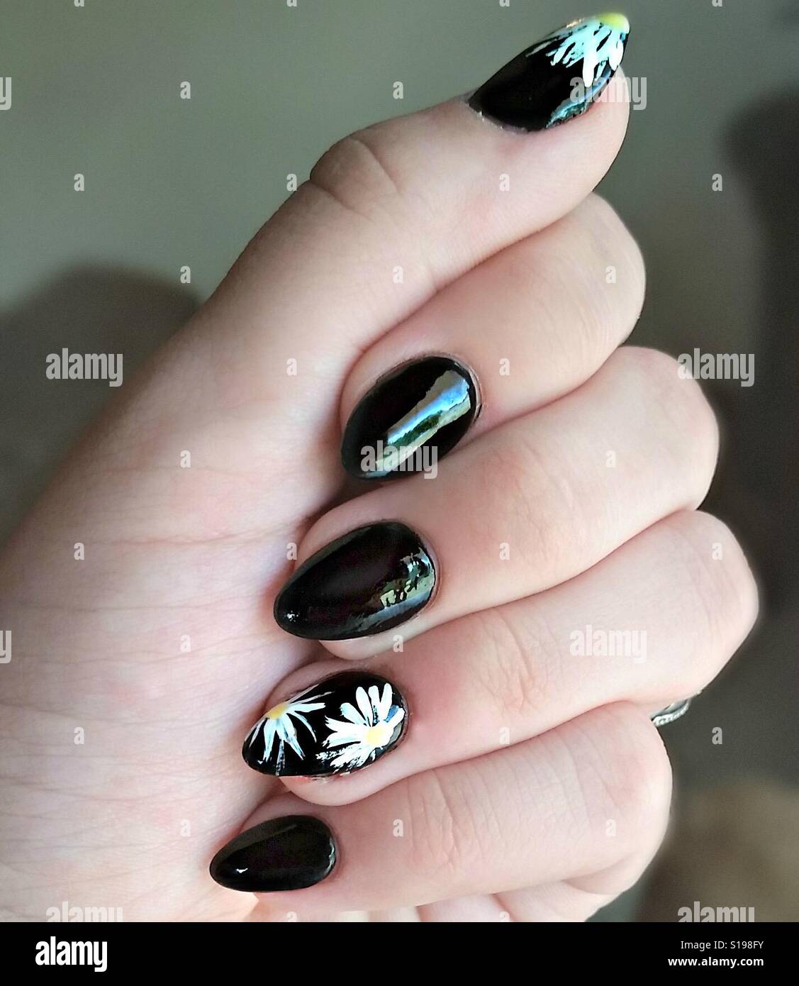 Black Manicure With Daisy Nail Design Stock Photo Alamy