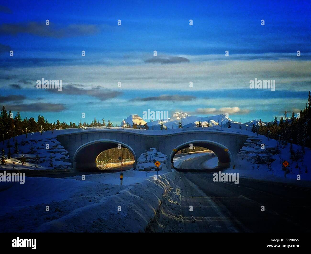 Wildlife overpass along the TransCanada Highway - Smartphone Captured Stock Image