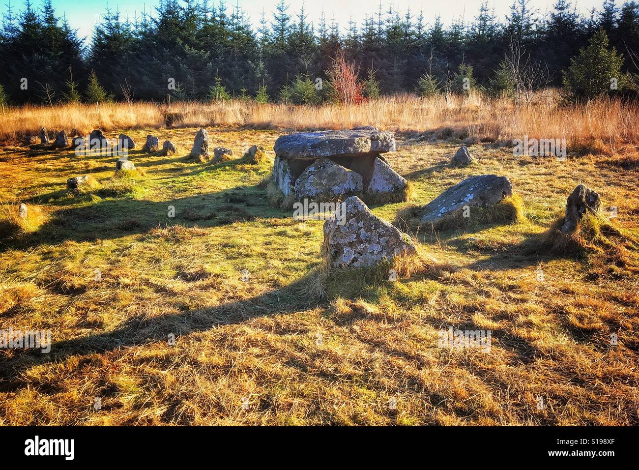 Ancient kistvaen and stone row on Lakehead Hill between Postbridge and Bellever Tor, Dartmoor National Park, Devon,UK. Stock Photo
