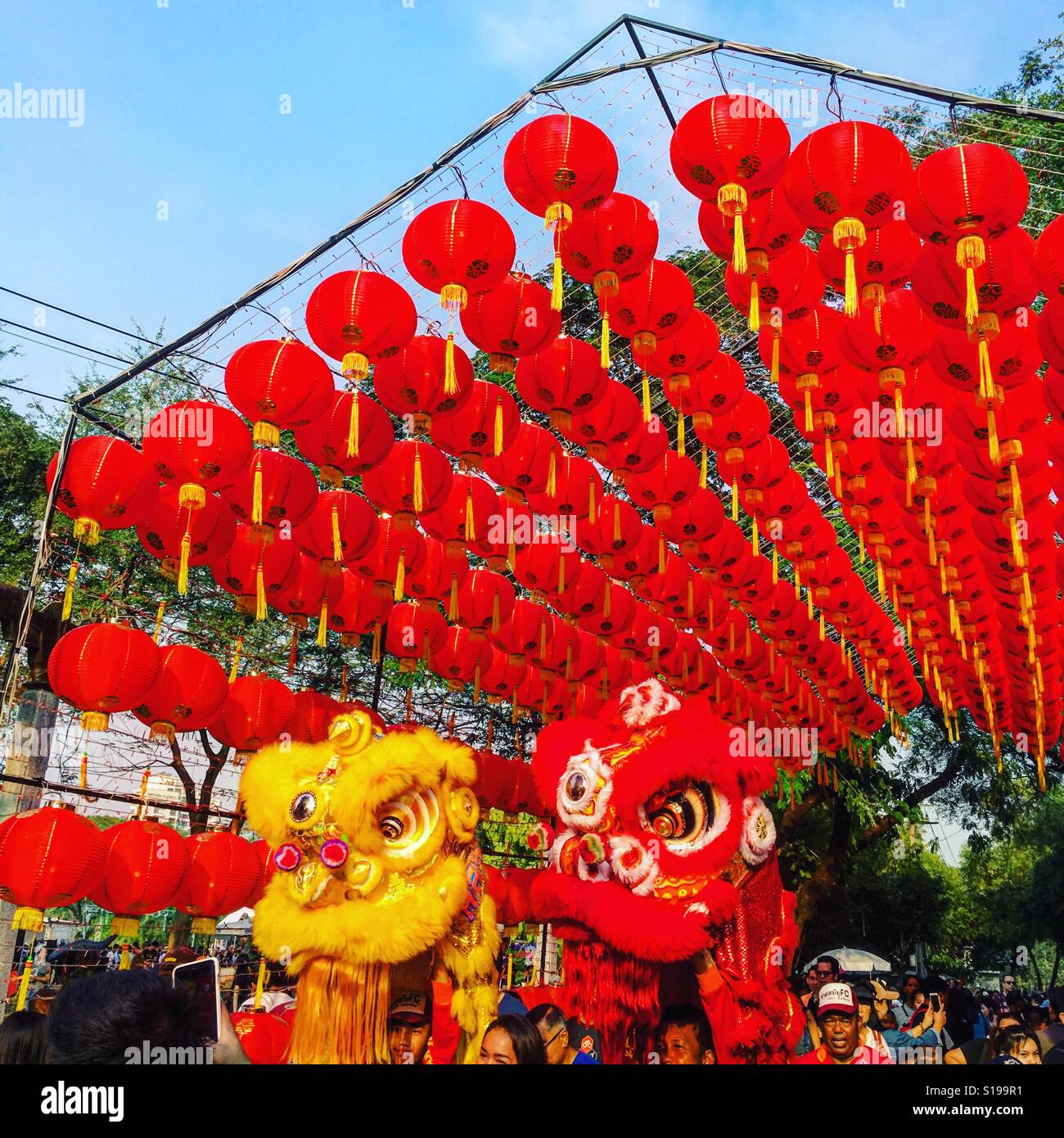 Chinese New Year Festival Stock Photo Alamy