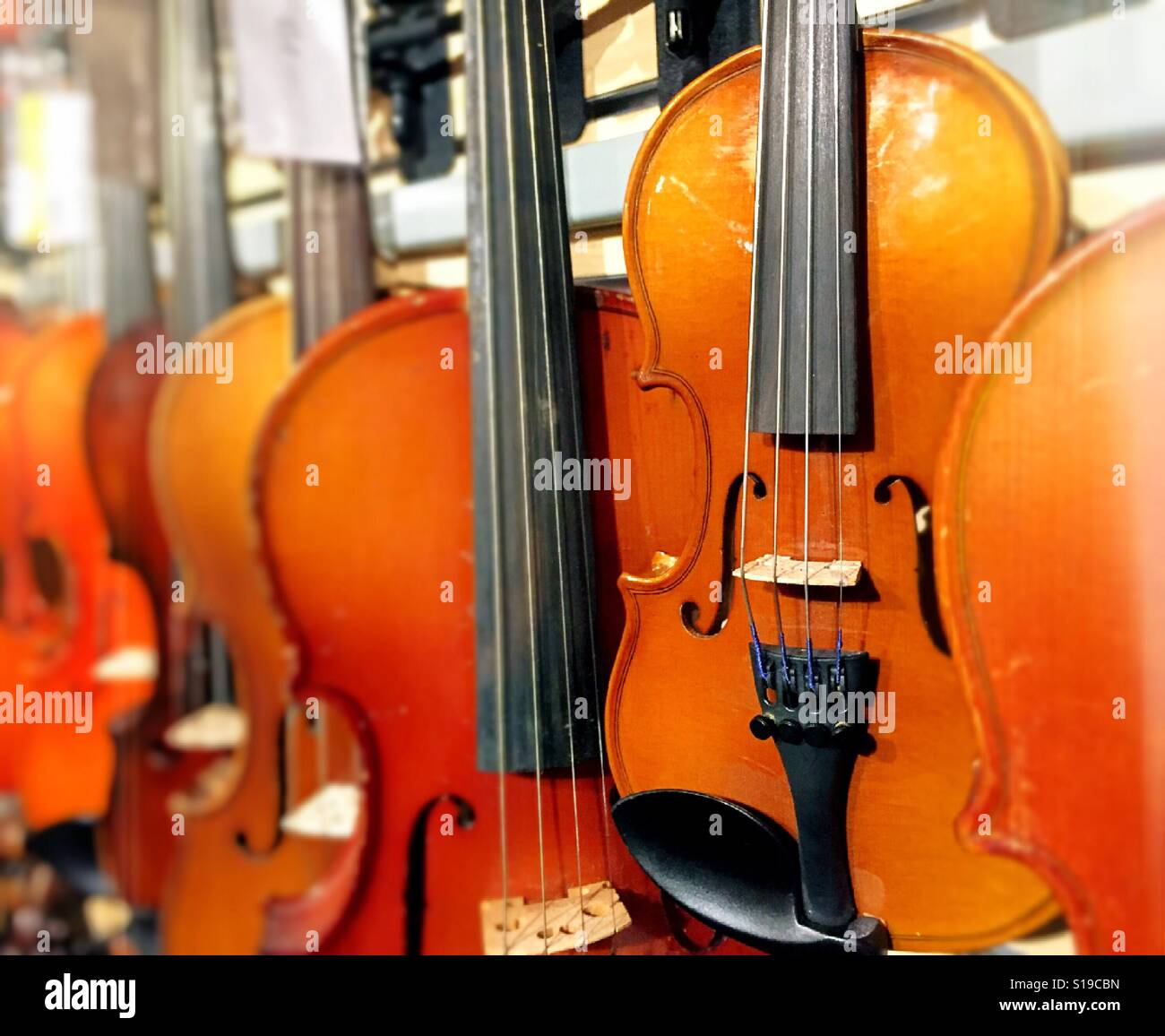Violins for sale in music store, NYC, USA Stock Photo Alamy