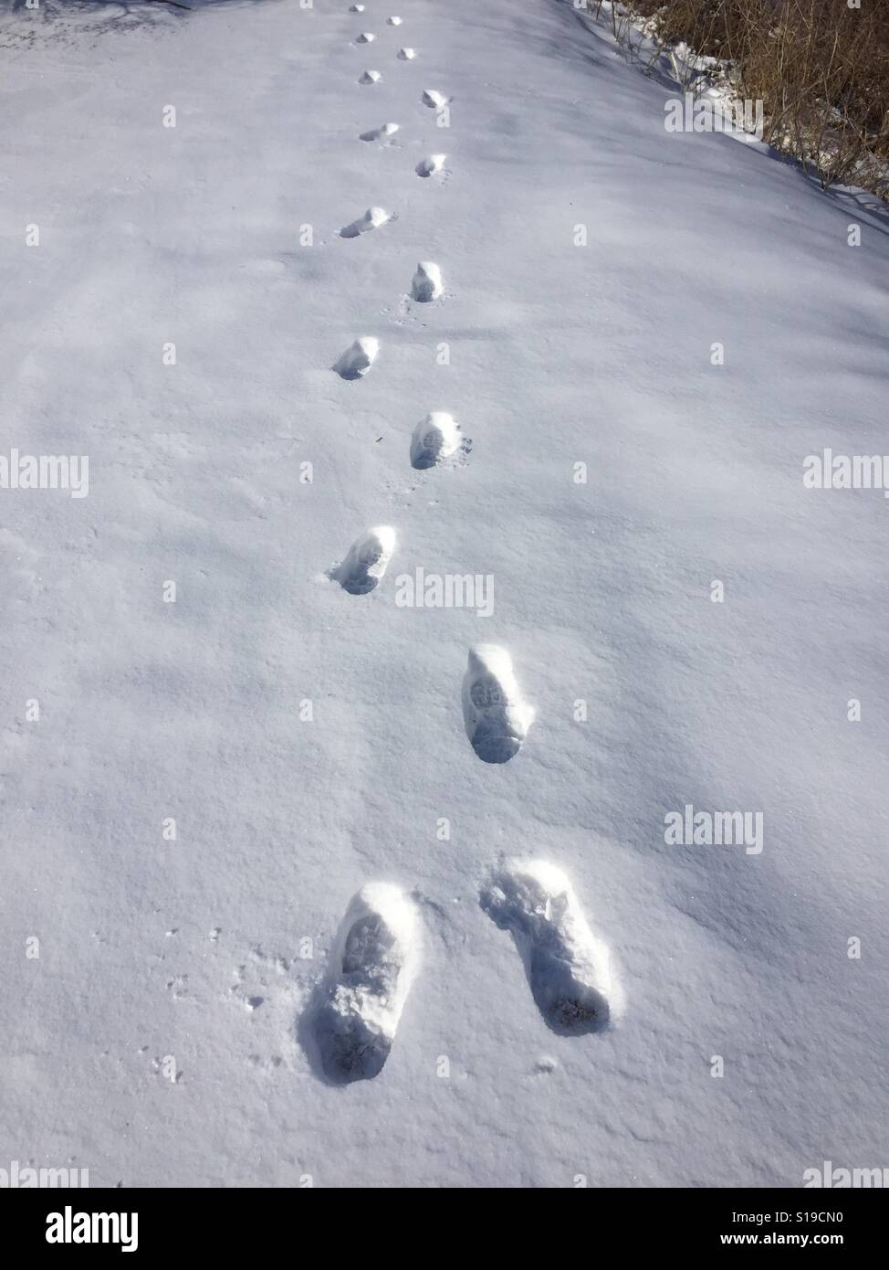 Footprint in the snow - Smartphone Captured Stock Image