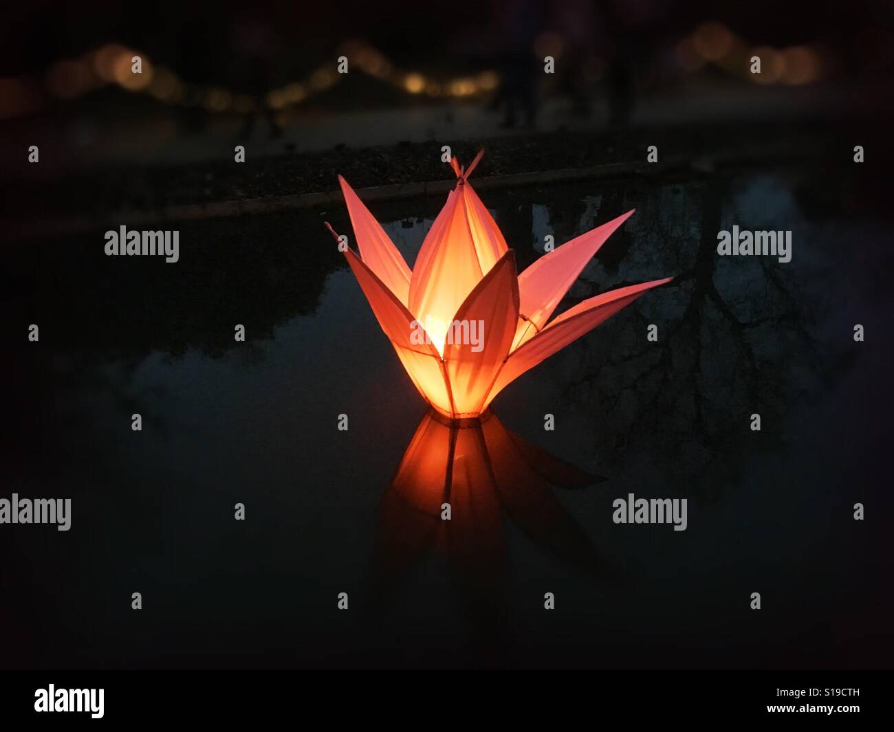 Lamp in shape of flower in lake - Smartphone Captured Stock Image