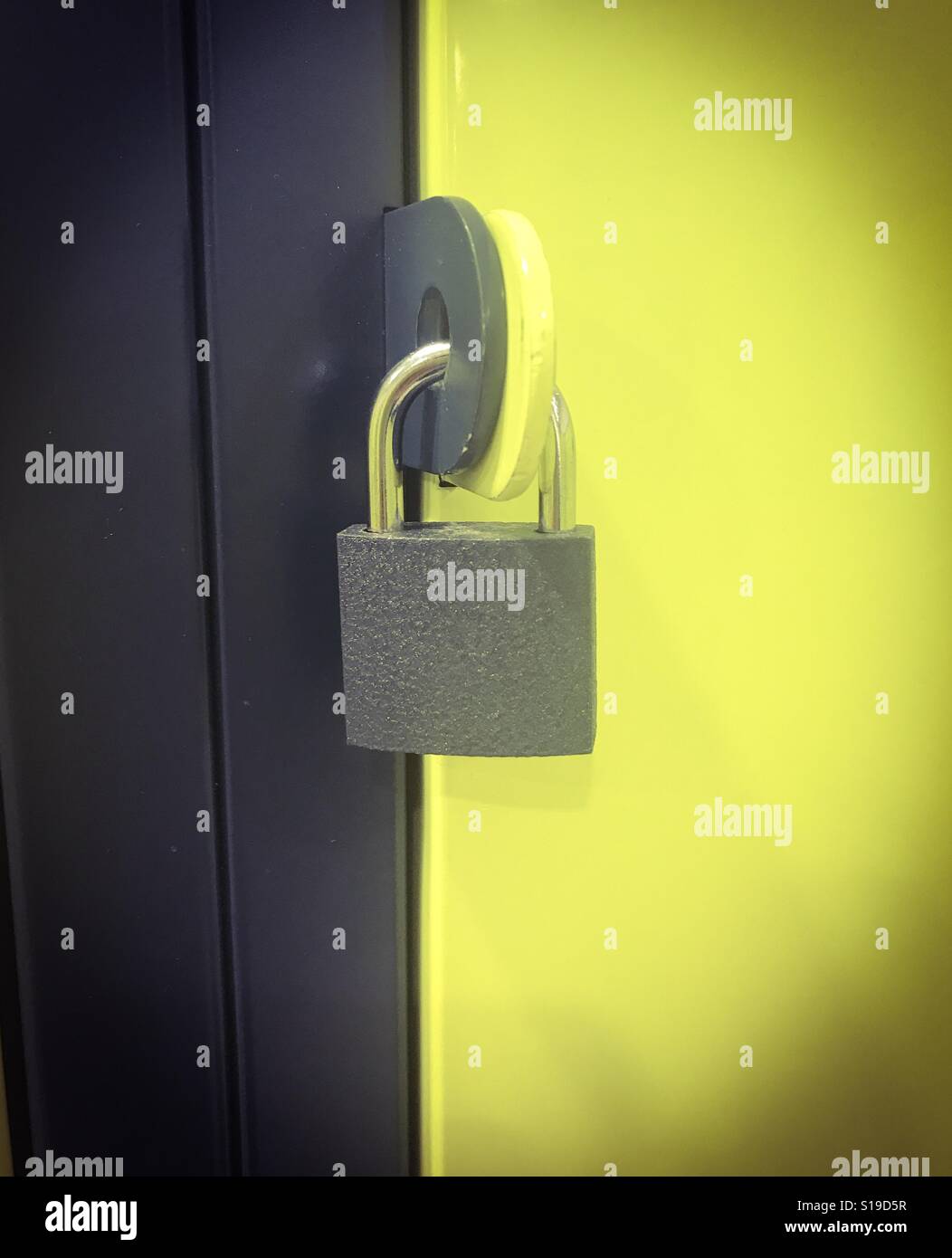 Locked Padlock On The Closet Door Stock Photo 310609203 Alamy