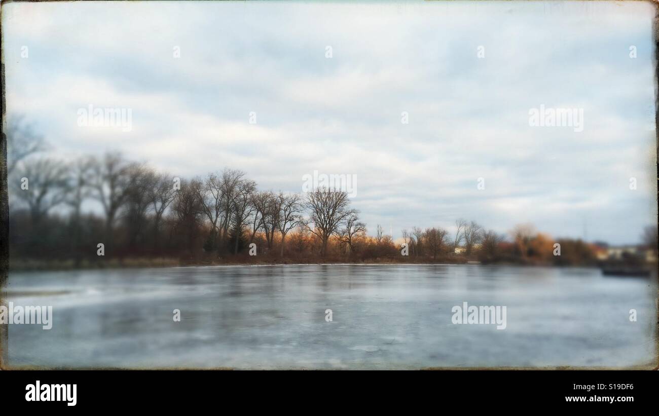 Line of trees, Toronto Islands, Toronto, Ontario, Canada - Smartphone Captured Stock Image