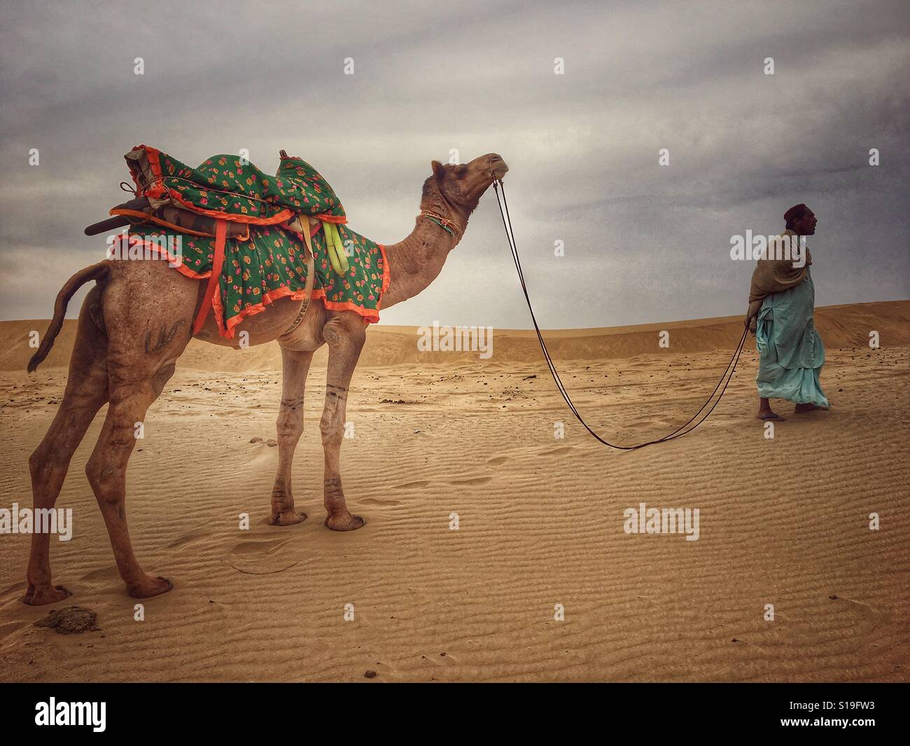 Camel Safari at Jaislmer desert in Rajasthan of India. - Smartphone Captured Stock Image
