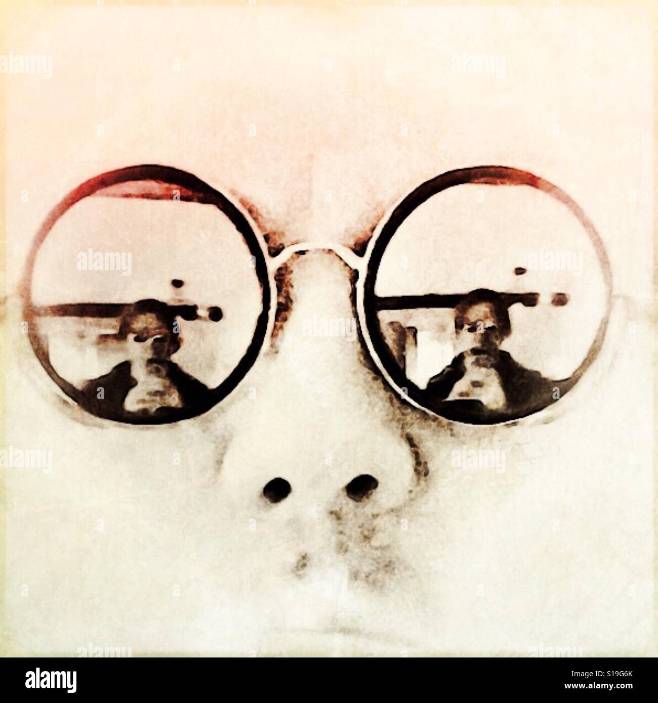 Sunglasses reflecting selfie Stock Photo