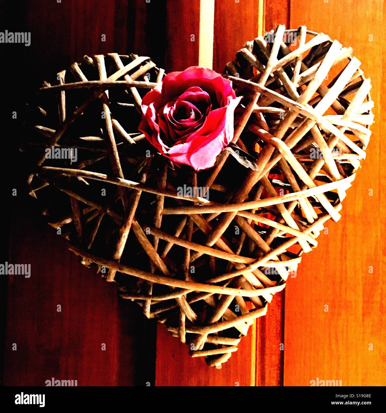 Heart and pink rose - Smartphone Captured Stock Image