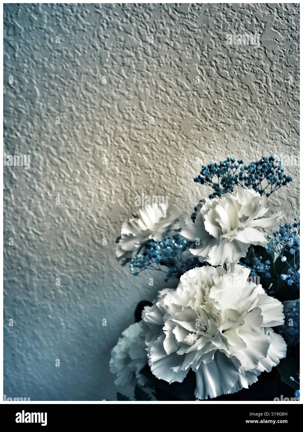 White carnations and blue baby’s breath bouquet against textured