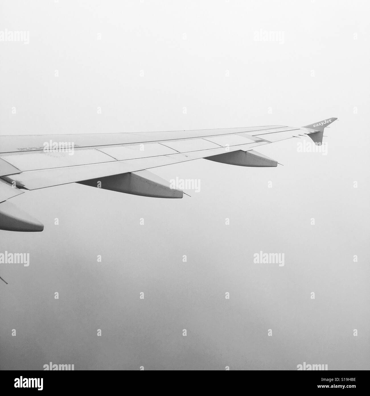 Plane wing Stock Photo