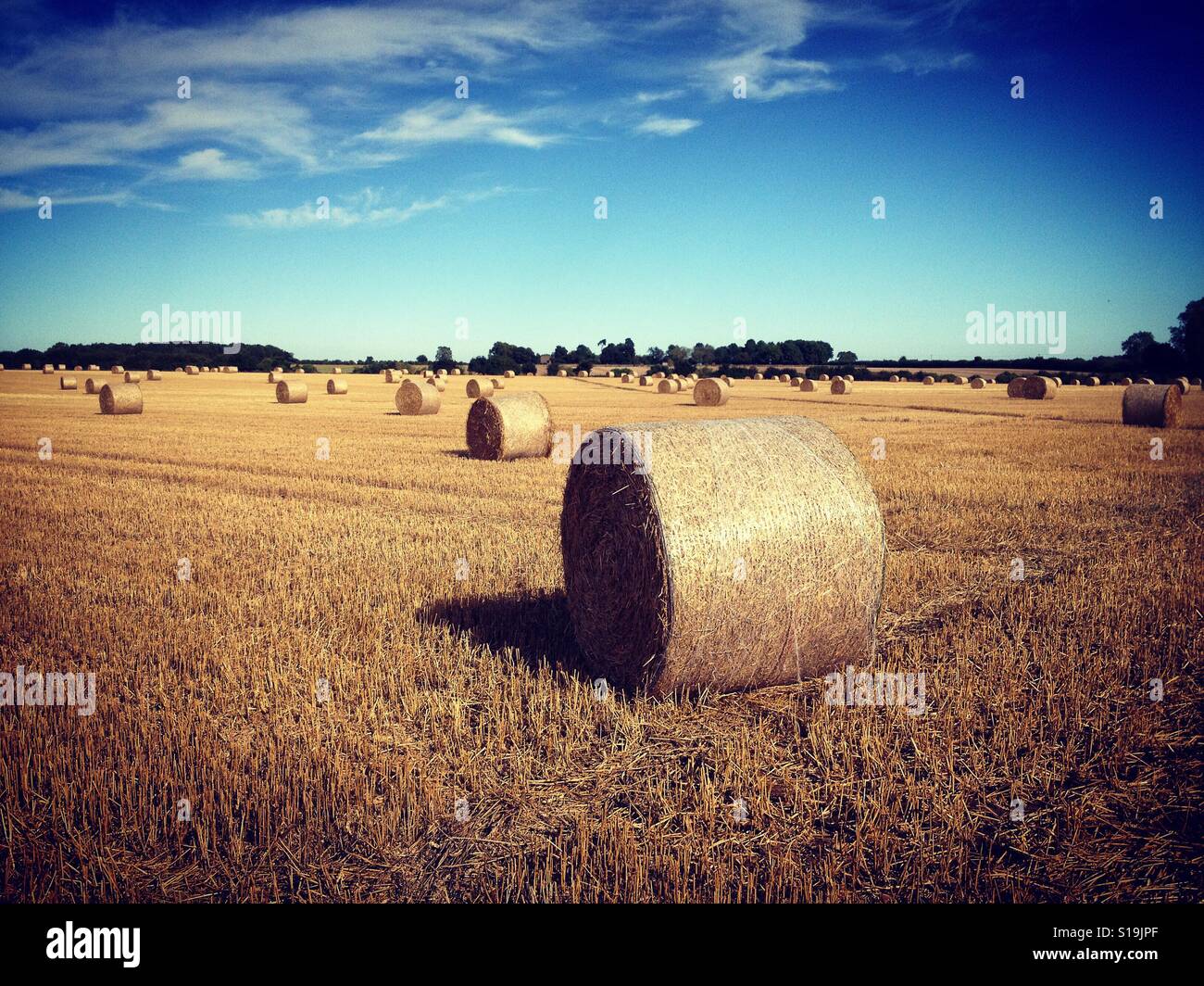 Straw bales harvest time in a field in the Cotswold hills near Tetbury, Gloucestershire, UK. Mobile phone photo with some phone or tablet post processing. - Smartphone Captured Stock Image
