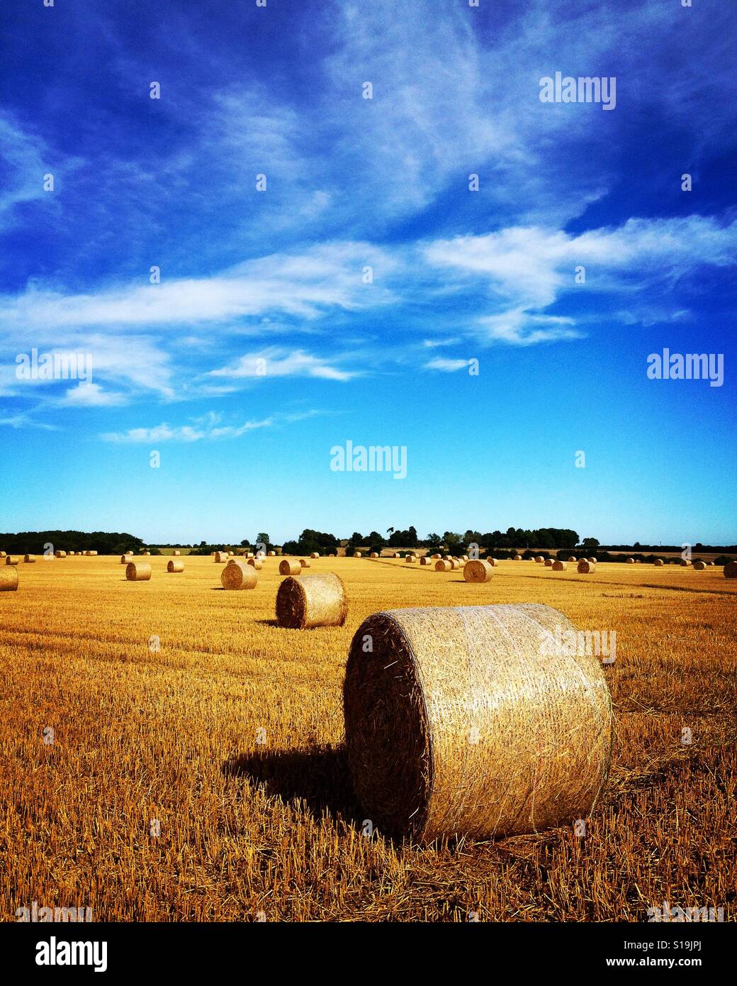 Straw bales harvest time in a field in the Cotswold hills near Tetbury, Gloucestershire, UK. Mobile phone photo with some phone or tablet post processing. - Smartphone Captured Stock Image