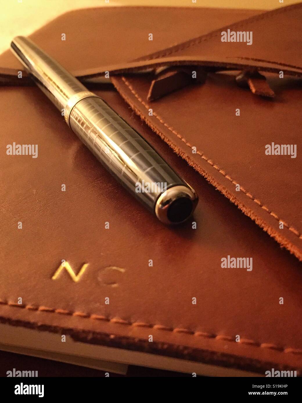 Pen and leather journal. Stock Photo