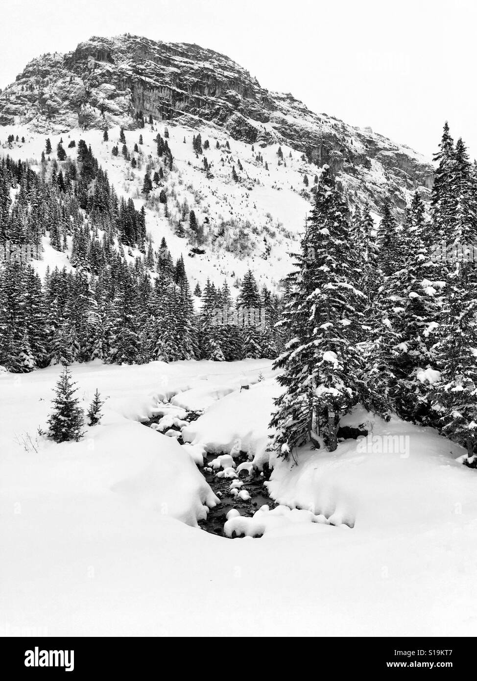 Panoramic winter landscapes Black and White Stock Photos & Images - Alamy