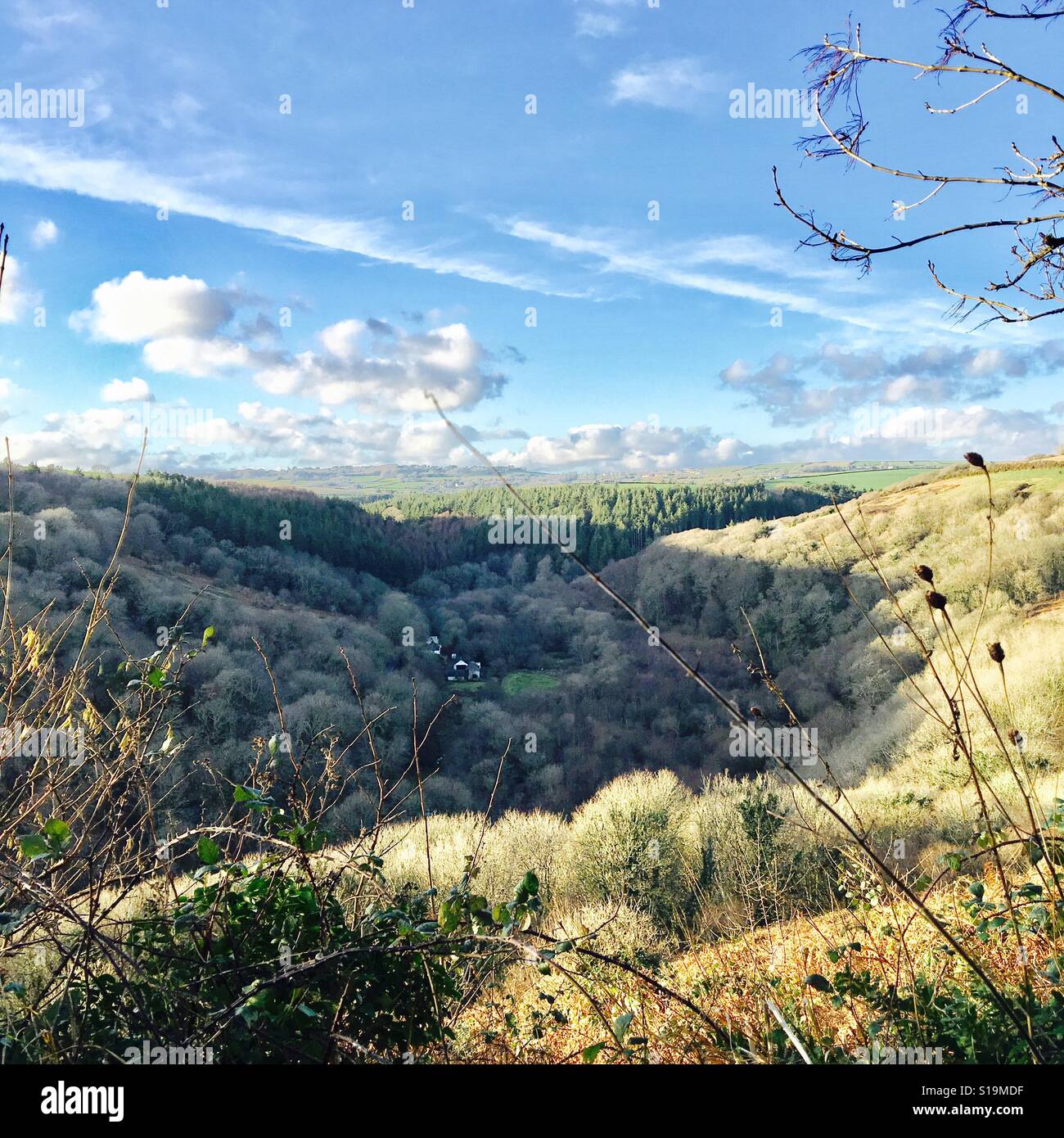 Seaton valley in Cornwall Stock Photo Alamy